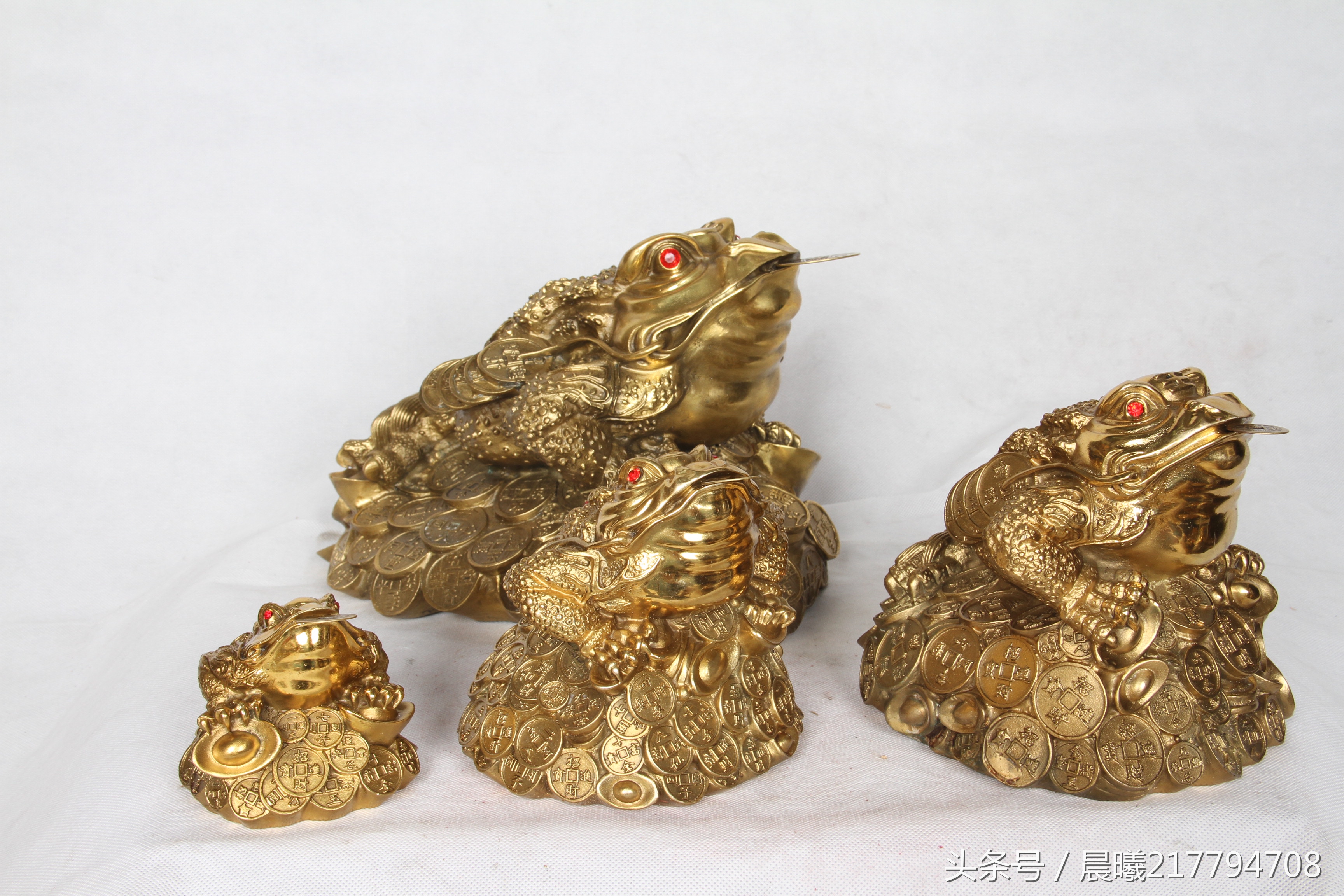 金蟾的历史故事,金蟾的故事图片文字