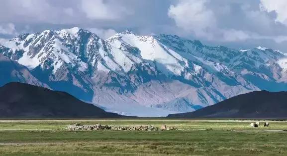 不安利这部讲述*藏西**的优秀国产片，我良心不安！