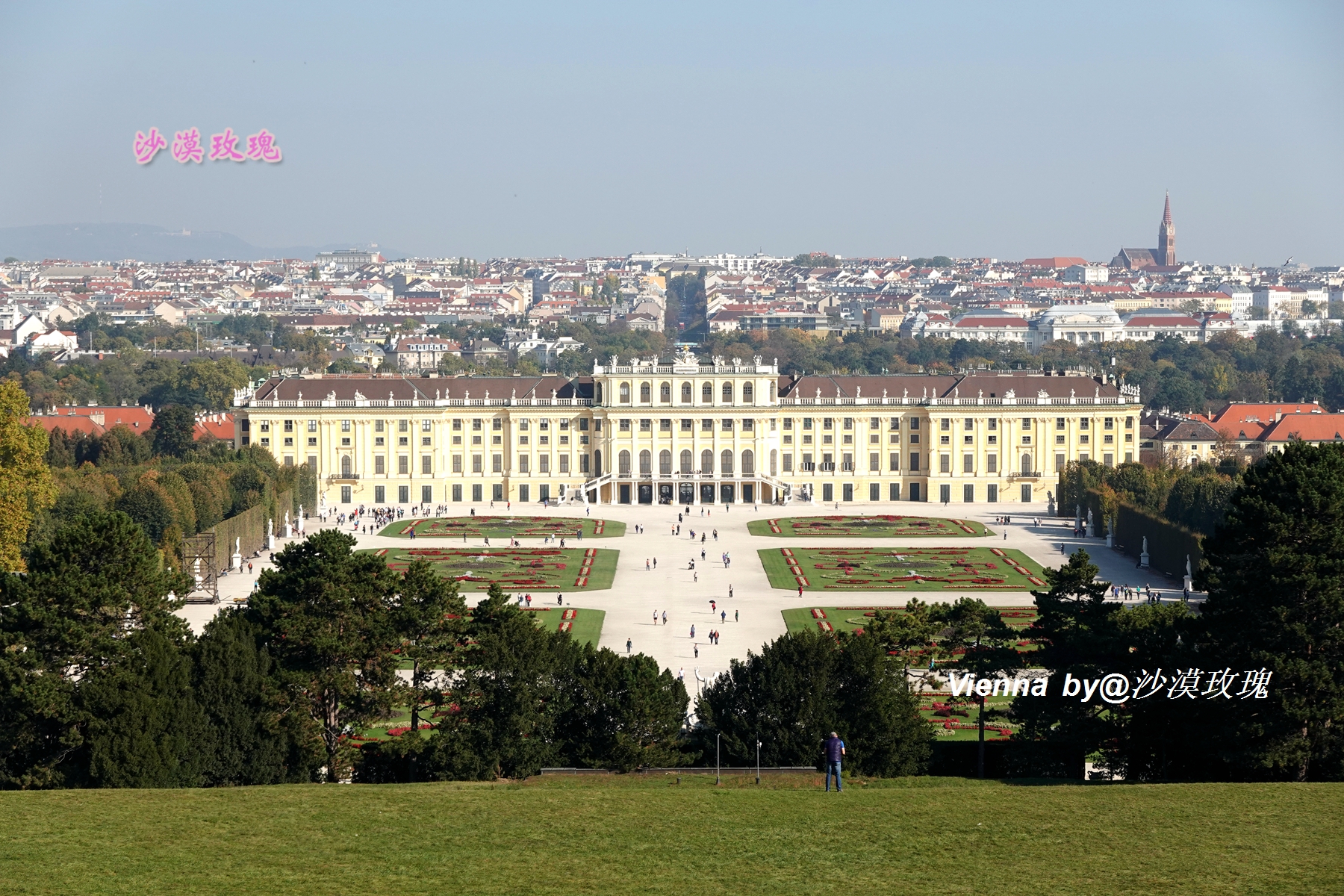 唐嫣罗晋婚礼在哪里举办的,唐嫣罗晋维也纳哪里举行婚礼