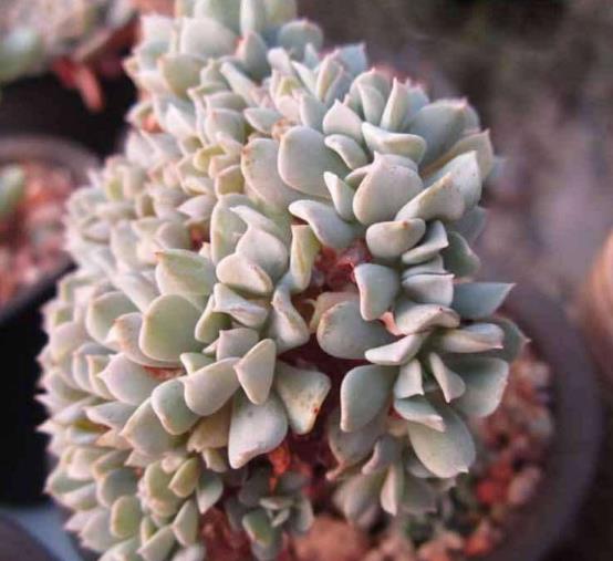 财运正旺不宜做的事,想财运旺记住这几件事