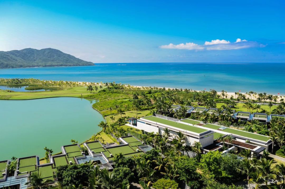 中国国际进口博览会购物攻略,进口博览会参观全攻略