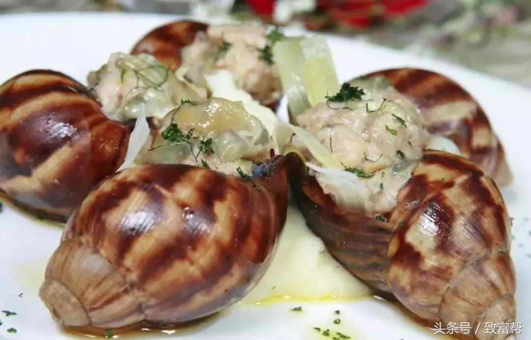 白玉蜗牛养殖成本与利润有多少呢,养殖白玉蜗牛挣钱吗知乎