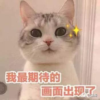 珠海海边拍照旅拍攻略图,珠海小众拍照圣地