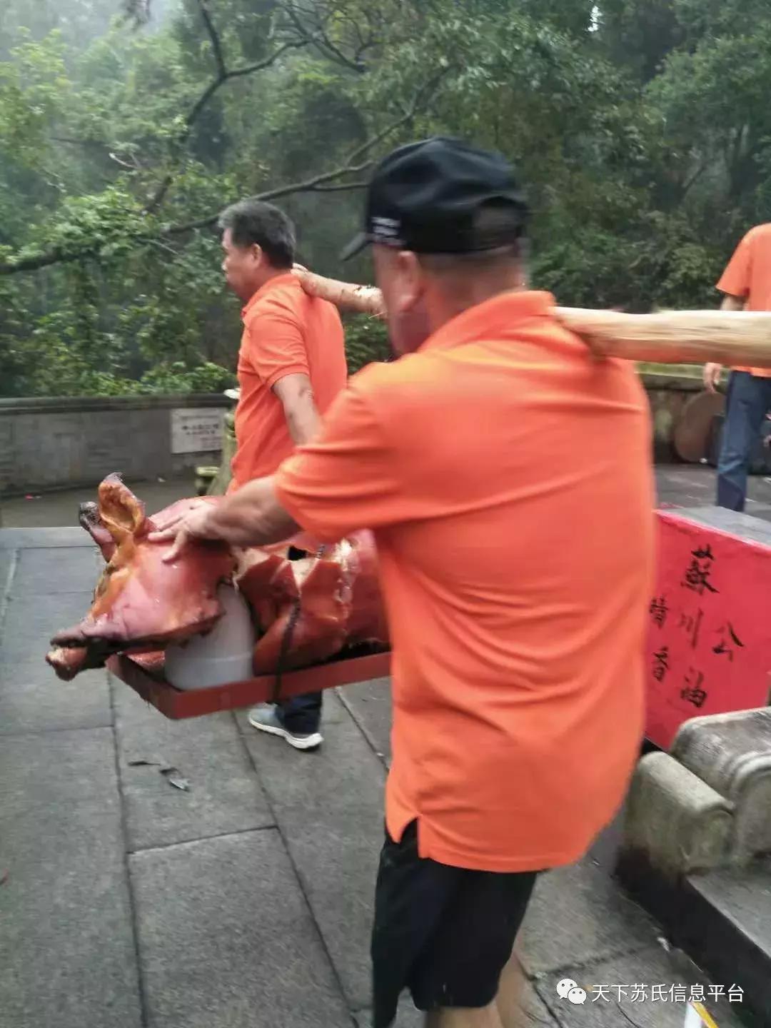 苏氏秋祭“苏家山”兄弟欢聚“月溪寺”