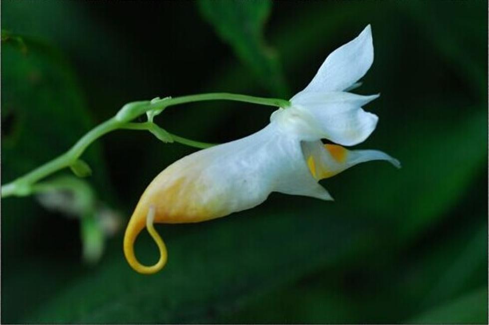 张家界旅游攻略秋天美景,张家界秋天旅游攻略图