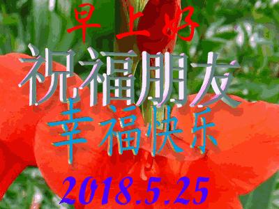 新版周五早上祝福问候动态图片,早上最好动态问候表情包