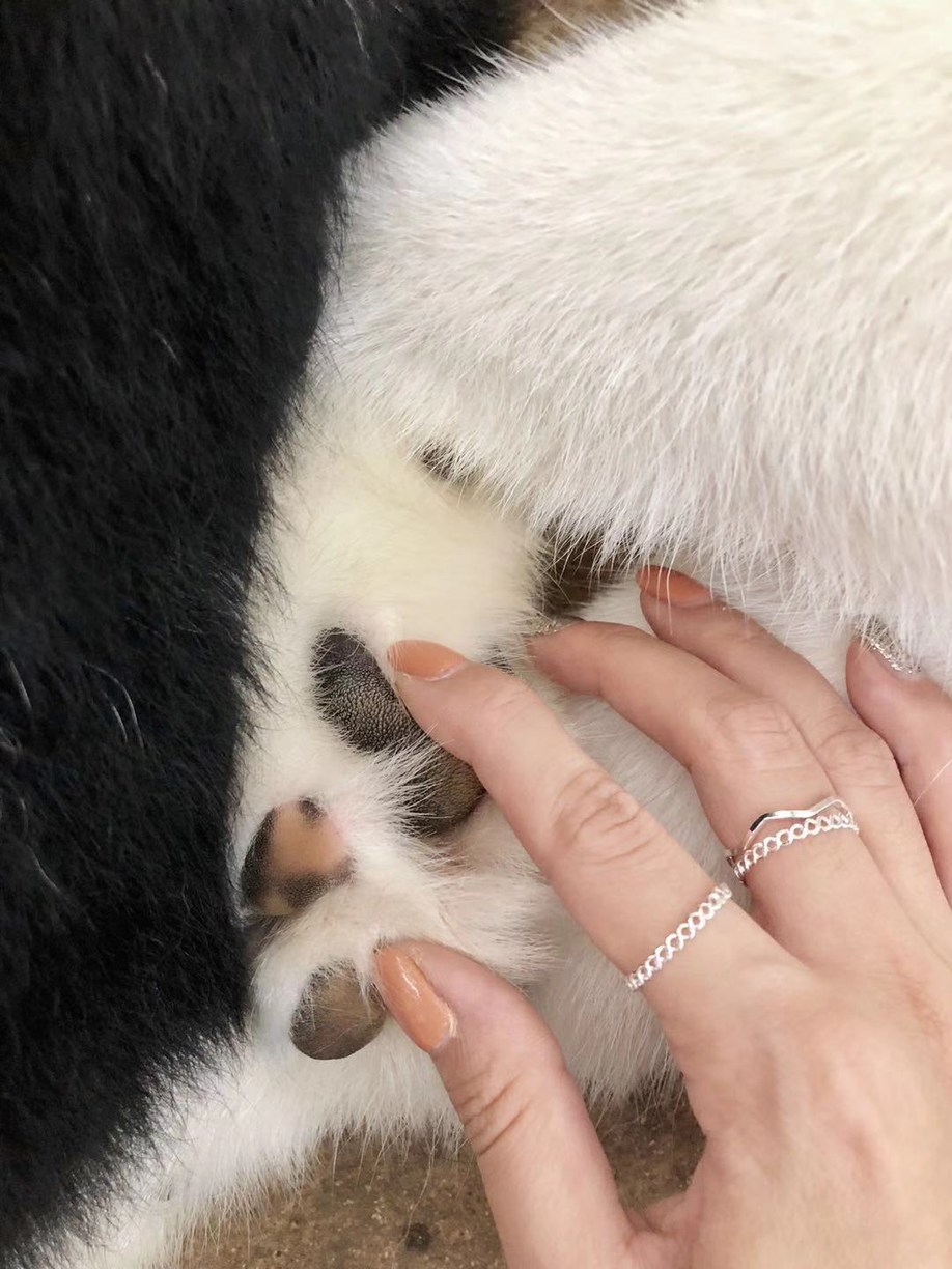 长发美美Sia丫丫带你游遍纸醉金迷曼谷小清新清迈