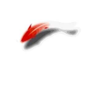 「高能预警」“转发此锦鲤”自带防诈骗光环！