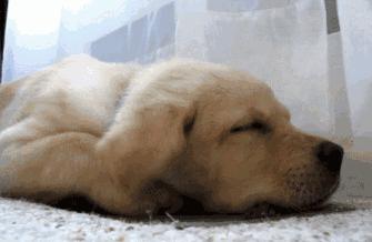 冬天手脚冰凉夏天手脚热怎么回事,冬天经常手脚冰凉怎样调理呢