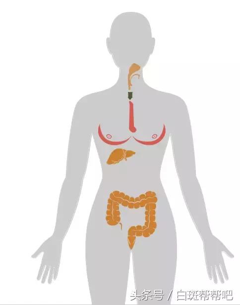李咏是因为癌症死亡的吗,李咏得的啥癌症为什么葬在美国