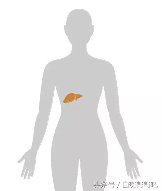 李咏是因为癌症死亡的吗,李咏得的啥癌症为什么葬在美国