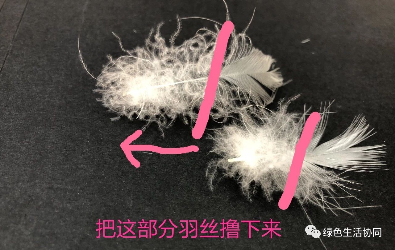 你买到真正的羽绒被了吗,淘宝哪里能买到真的羽绒被