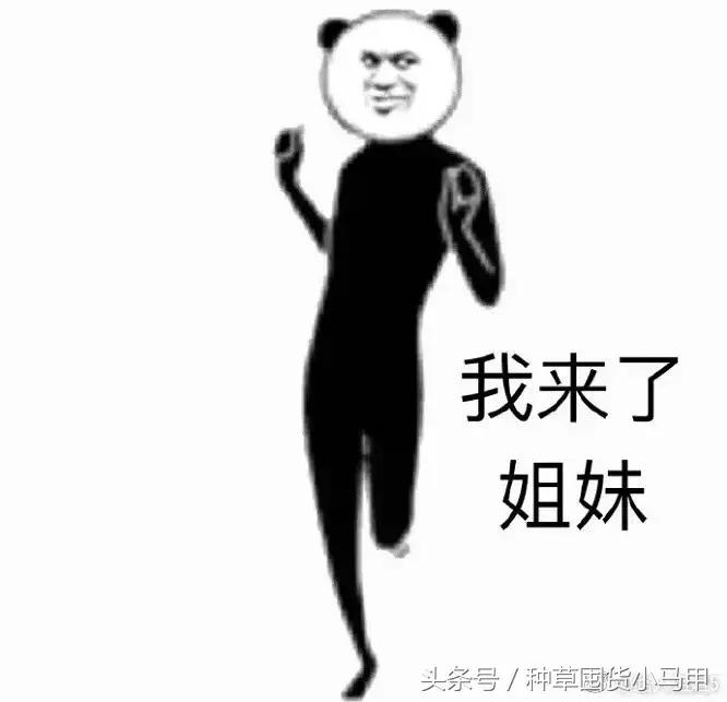 小红书千万不要搜的东西,小红书十块钱值得买的