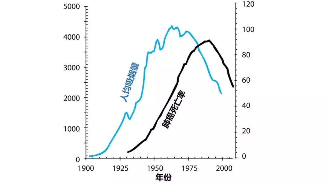 主持人李咏经过17个月的抗癌治疗,著名主持人李咏患的是什么癌症