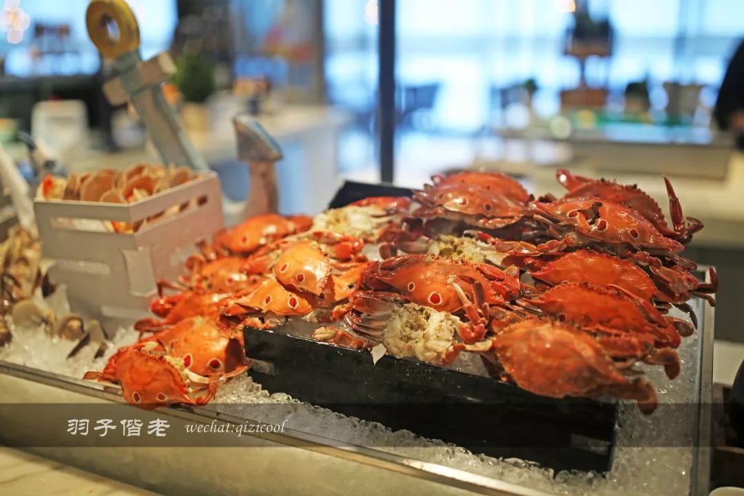 佛山罗浮宫索菲特酒店小程序,佛山罗浮宫索菲特酒店下午茶