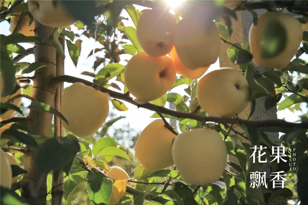 椋庡Э濞撮泤缁扮害澶氬Э,椋庡Э缁扮害娓╁杩蜂汉