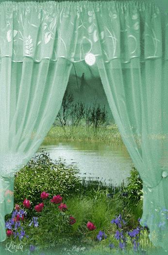 会动的漂亮图片,会动的花草图片