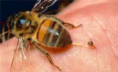 70岁老人身体好的秘诀,70岁以上老人健康秘诀