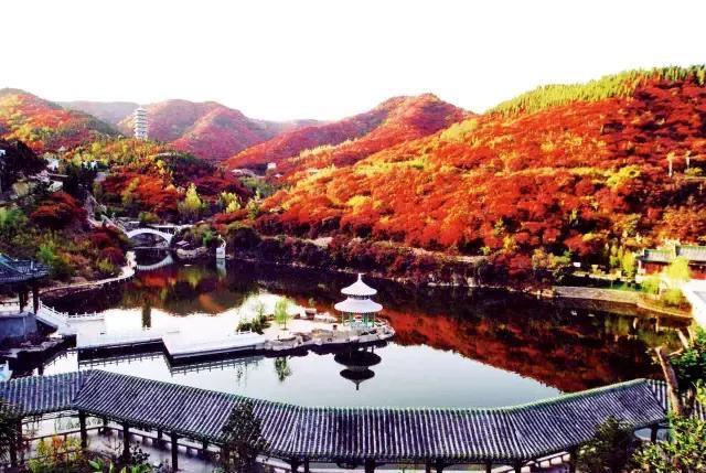 济南红叶谷在济南什么位置,山东济南红叶谷秋色