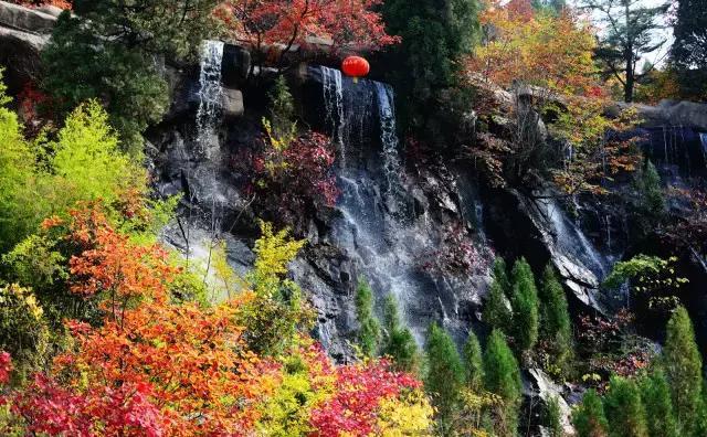 济南红叶谷在济南什么位置,山东济南红叶谷秋色