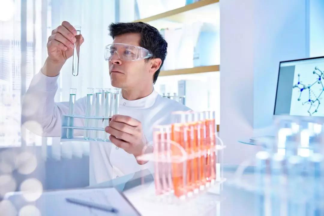 进口博览会时间和地点,进口博览会参观全攻略