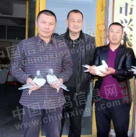 独家首发：宁夏国家赛三万羽总冠军照片