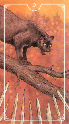 占卜最近困扰你的事,占卜最近遇到什么好事情