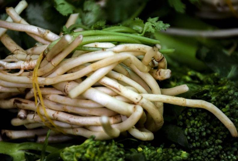 痔疮一吃辣就复发,痔疮出大量血中医疗法