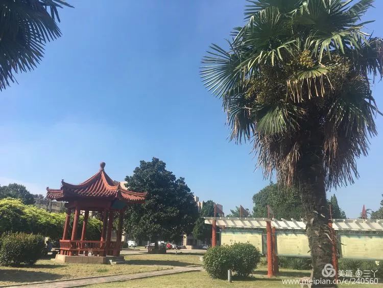 再见97,再见1997学校