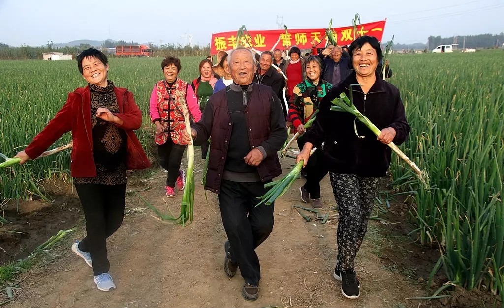 牛!章丘大葱即将出征天猫“双十一”!