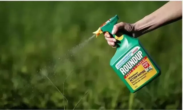 澳洲麦片是不是智商税,澳洲麦片是天然麦片吗