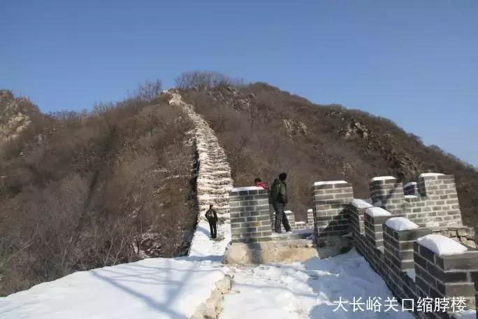 长城文化带古树,长城历史文化带你去旅行