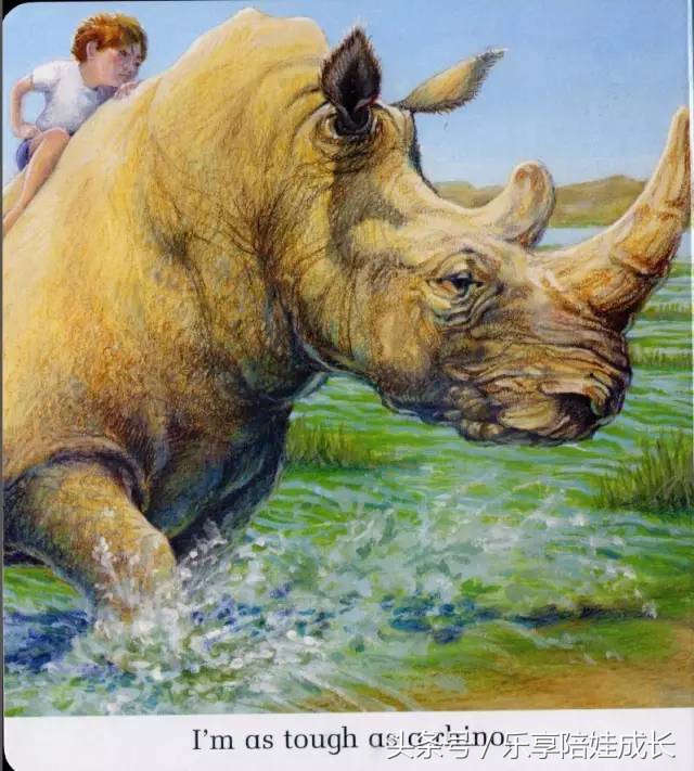 quickasacricket翻译,绘本磨耳朵故事视频