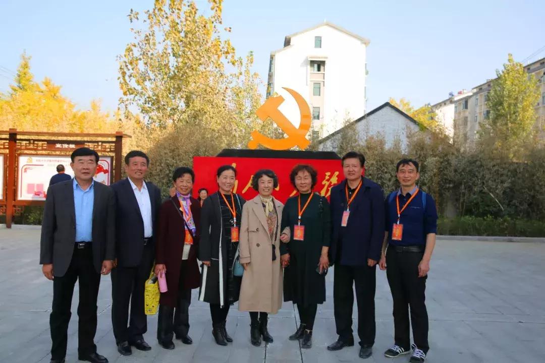 知青回沙河完整视频,北京沙河知青