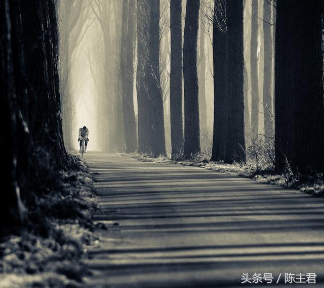 70张让人大开眼界的照片,50张让人惊艳的照片