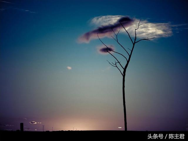 70张让人大开眼界的照片,50张让人惊艳的照片