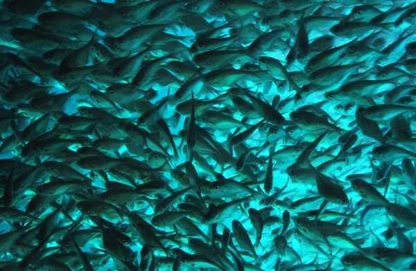 闺蜜的看海之旅，三亚自由行攻略