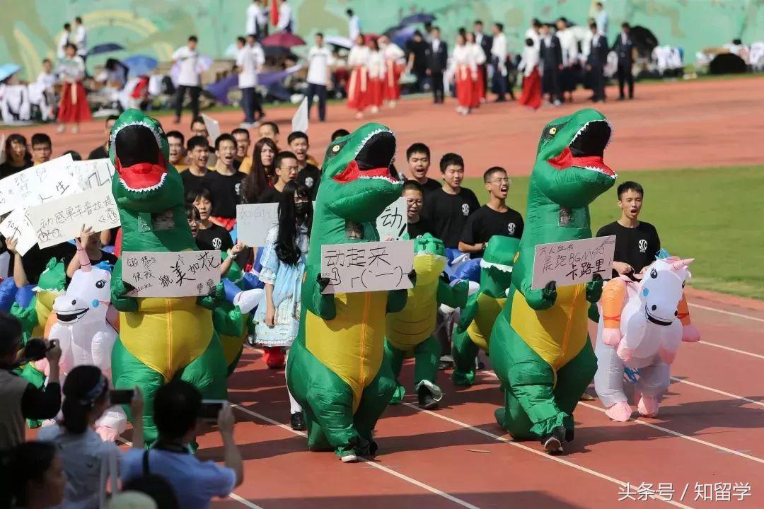 运动会高级创意,最新运动会创意展示