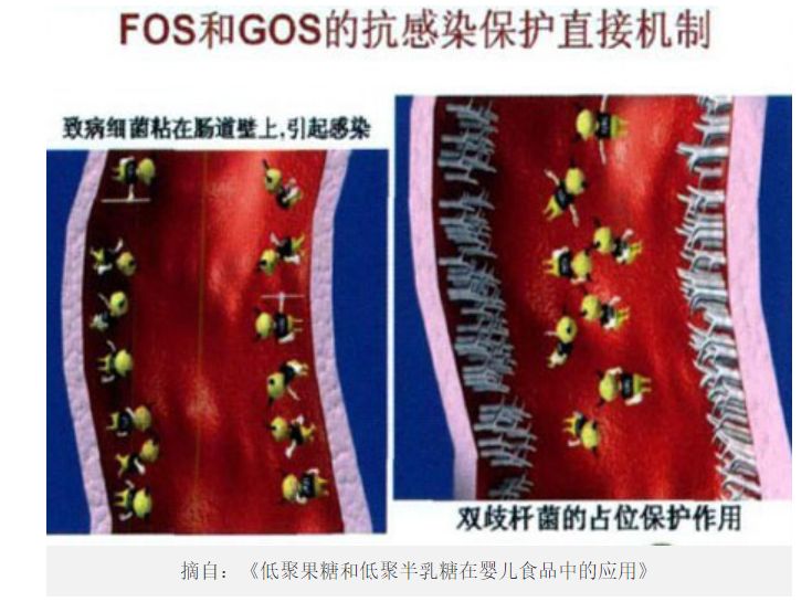 俄罗斯奶粉与澳洲奶粉,德国的奶粉好还是澳洲的奶粉好