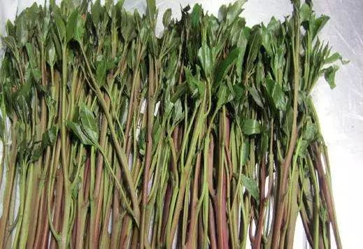 新型*品毒**套路多花样翻新陷阱深