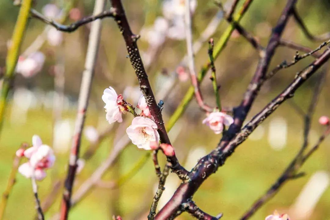 深圳向世界发出邀请,向世界推介深圳