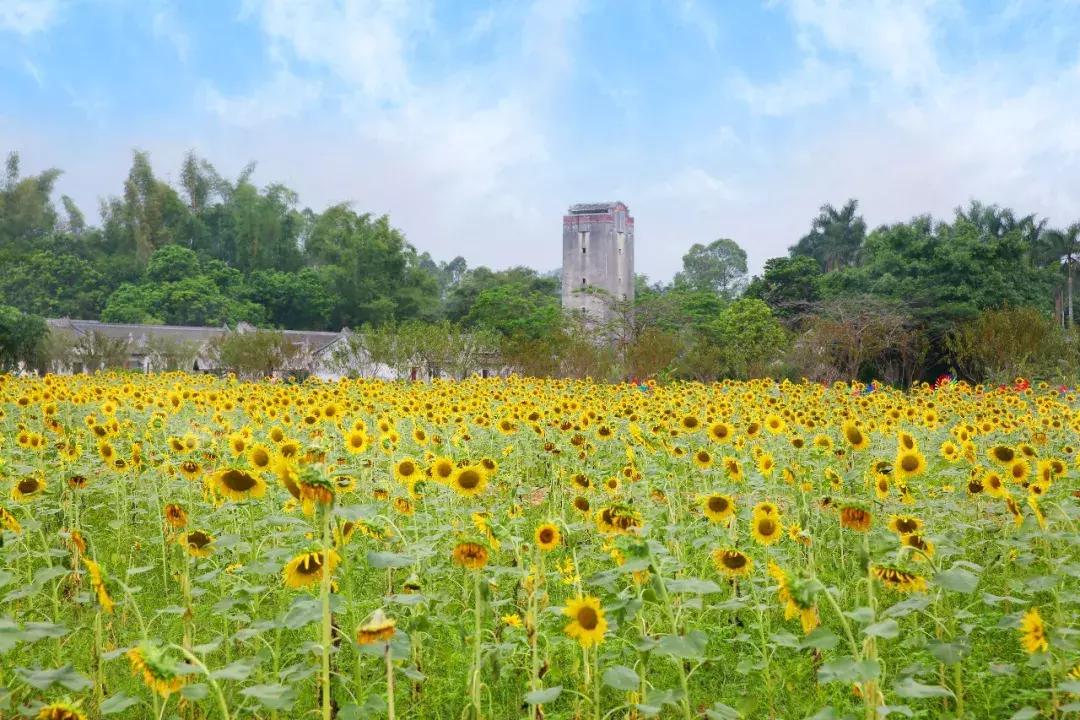 向世界推介深圳,深圳向世界发出邀请