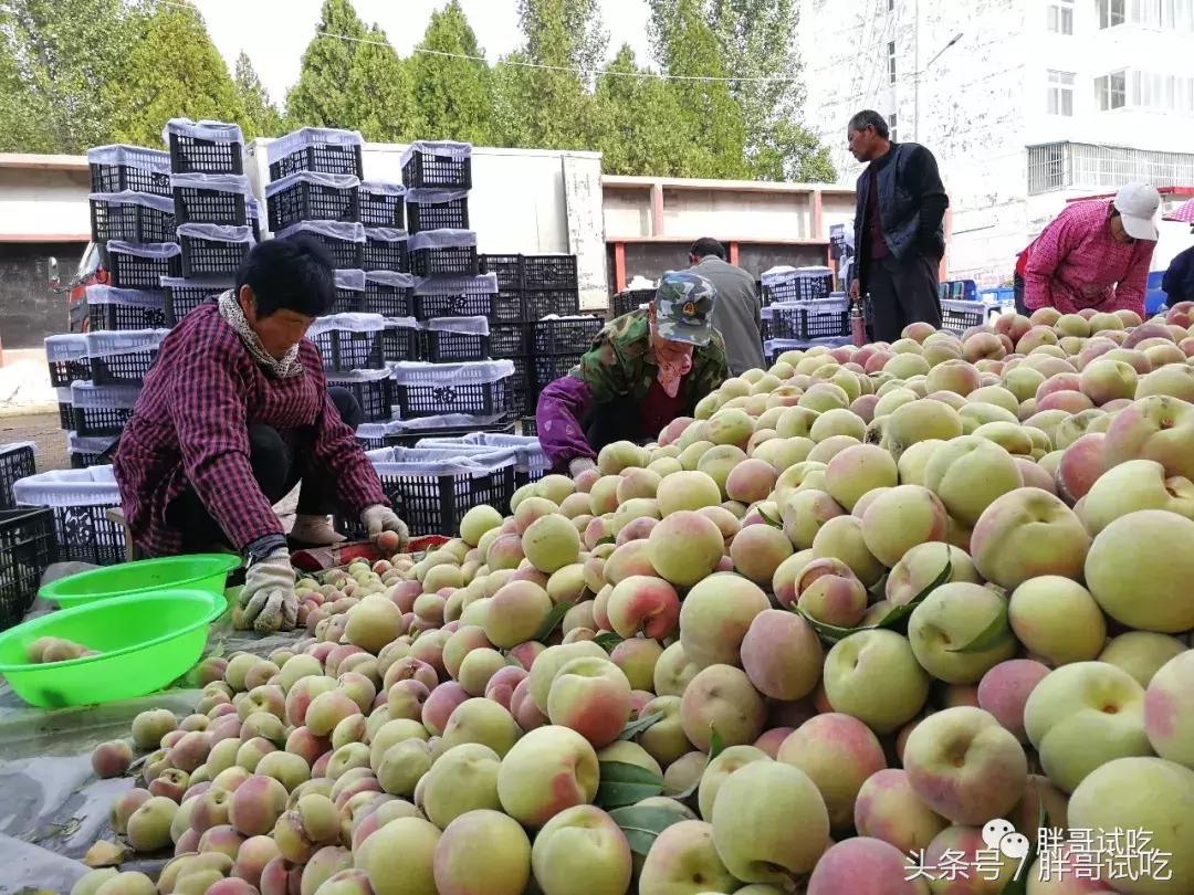 胖哥试吃骰子糖果,韩国胖哥试吃