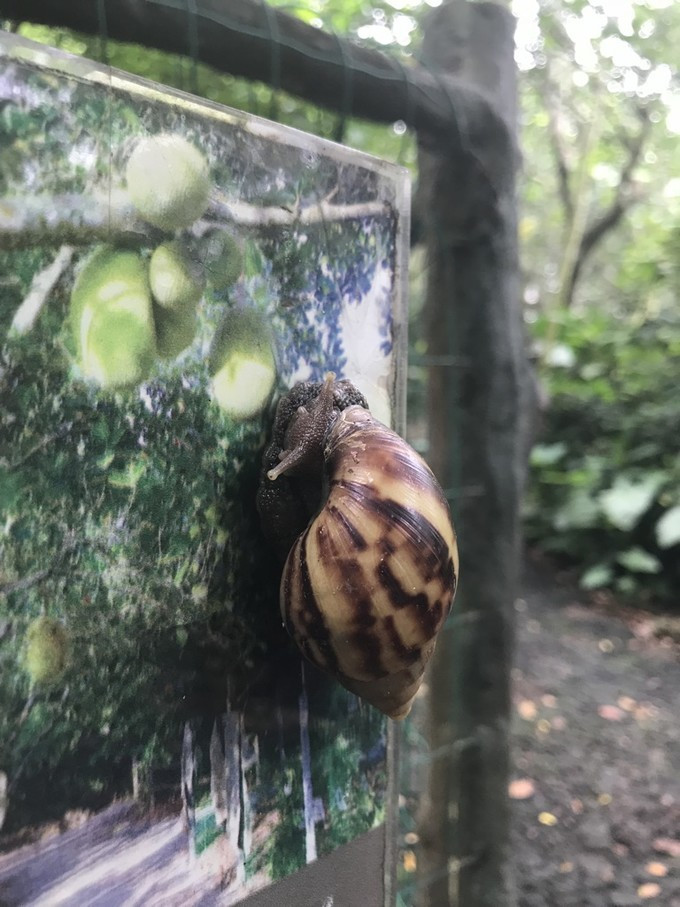 海口的特色美食有哪些,海口有哪些特色美食