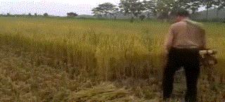 民间牛人机械的各种发明视频,农民自己发明的各种机械