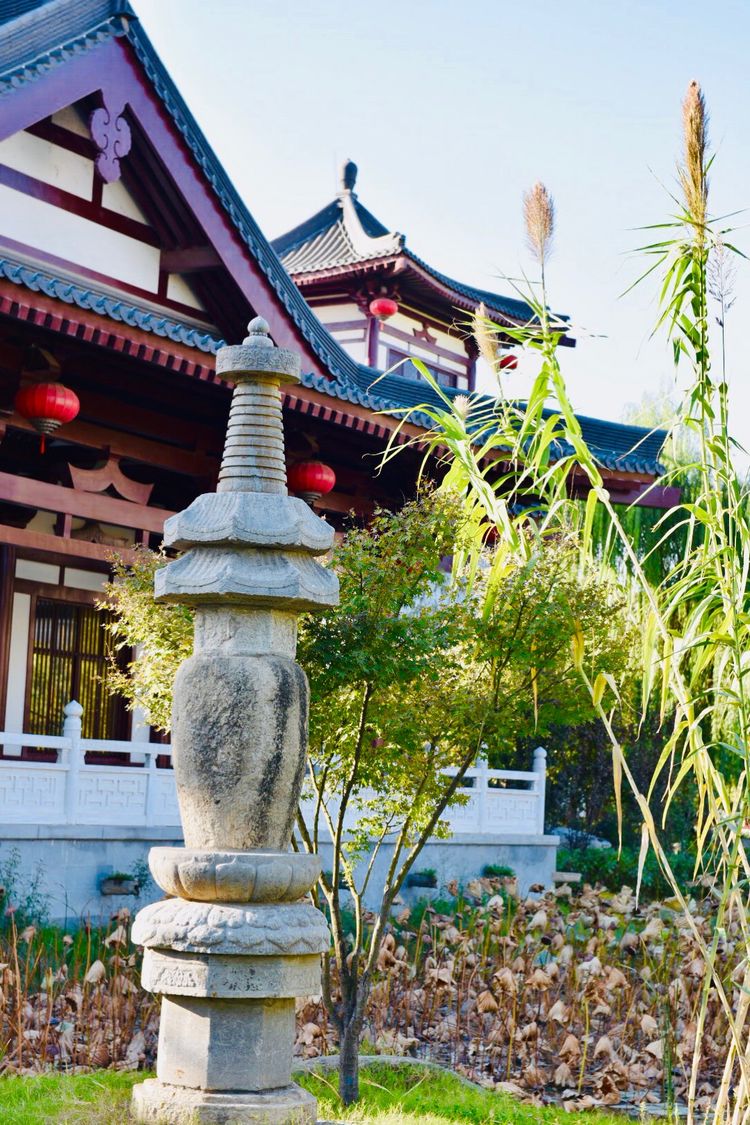 秋到上阳宫，黄叶蓝天高宫阙，皇帝都赞的美景，免费你都没去看？