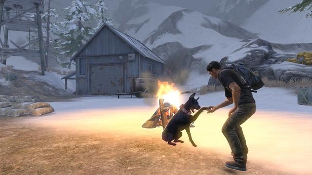 日常做“狗”,不如到末世里撸狗