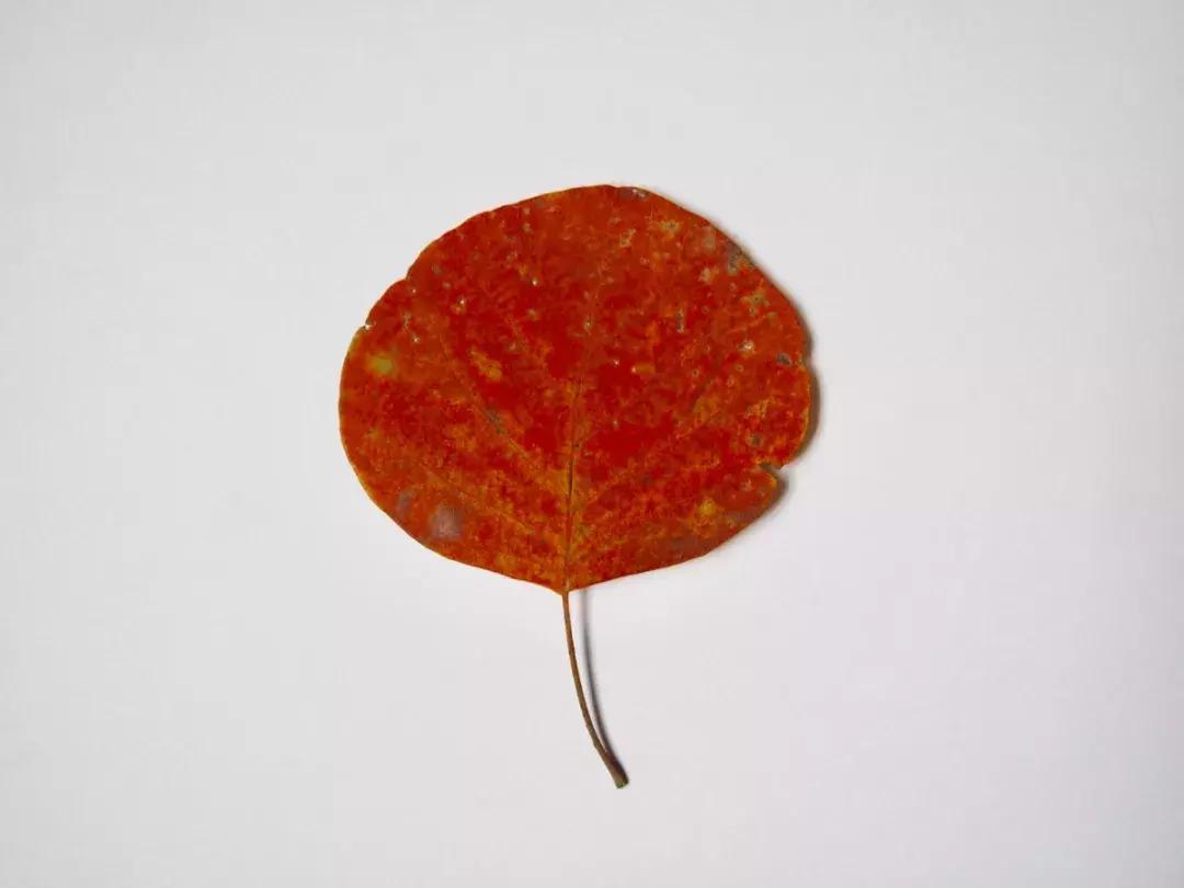 西山森林公园秋季爬山攻略,秋天西山国家森林公园