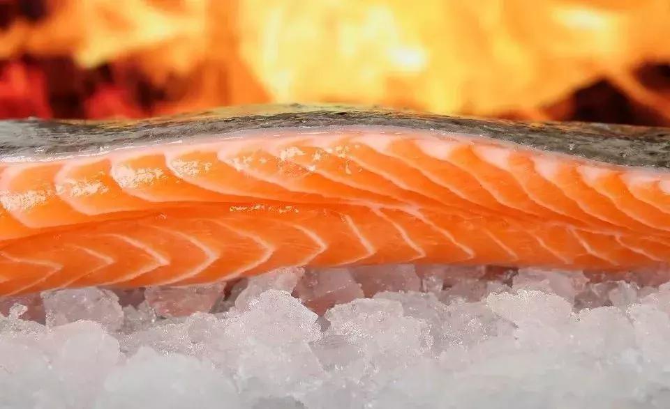 鱼身上哪两个部位不能吃有毒,鱼身上有个伤口还能吃吗