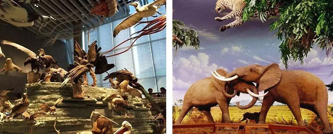 style鐜板満鐗堝浼﹀ (鐧惧彉澶氫鸡澶歴tyle)